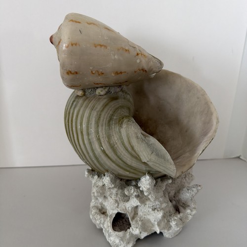 Shell coral fountain - fountain, base